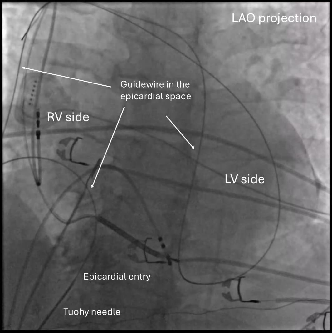 Twinkle xu tweet media