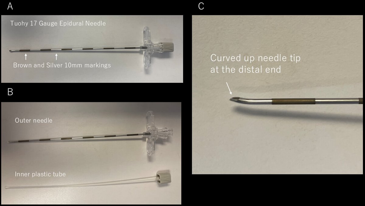 Twinkle xu tweet media