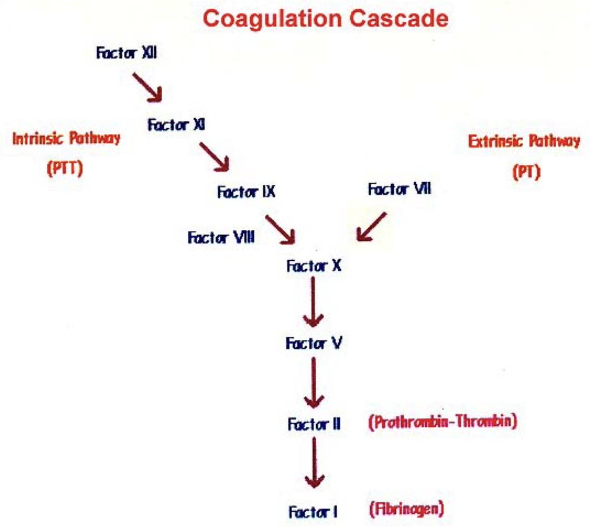 StudyXing Medicine tweet media