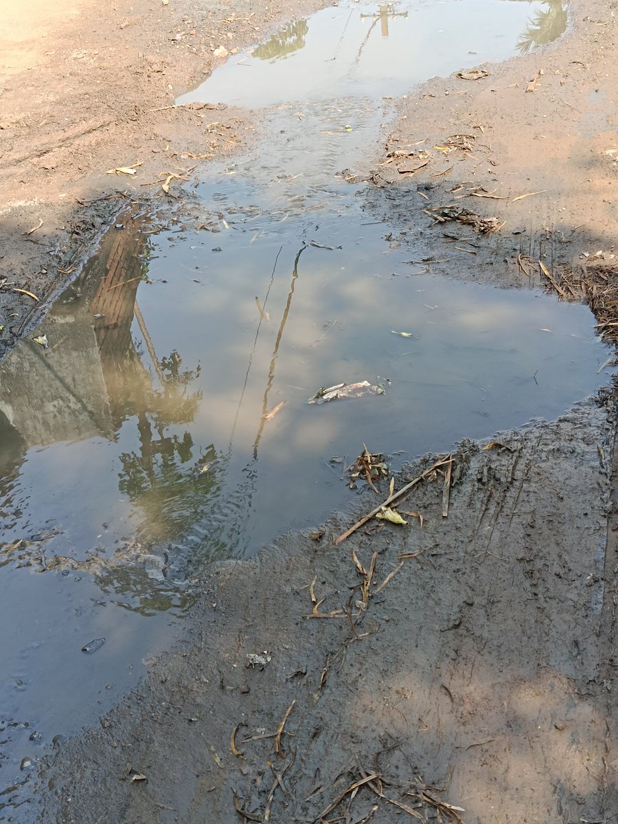 ASubhramayee's tweet photo. ଢେଙ୍କାନାଳ ଜିଲ୍ଲା  ରାସୋଳ ବ୍ରାହ୍ମଣ ସାହି,  ରାସ୍ତାର ଅବସ୍ଥା ଦୟନୀୟ ହୋଇପଡ଼ିଛି। ବାରମ୍ବାର ଅଭିଯୋଗ ସତ୍ତ୍ୱେ ସରପଞ୍ଚ କୌଣସି କାର୍ଯ୍ୟନୁଷ୍ଠାନ ହେଉନାହିଁ। ସମ୍ବନ୍ଧିତ କର୍ତ୍ତୃପକ୍ଷ ଶୀଘ୍ର ଏହାର ସମାଧାନ କରନ୍ତୁ।  @otvkhabar @kanak_news @districtadmndkl @AprajitaSarangi @kalingatv @CMO_Odisha https://t.co/IAhbcPBiXF