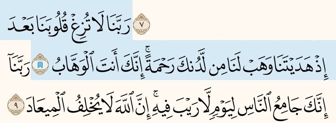 91,s 𓂆🇵🇸 tweet media