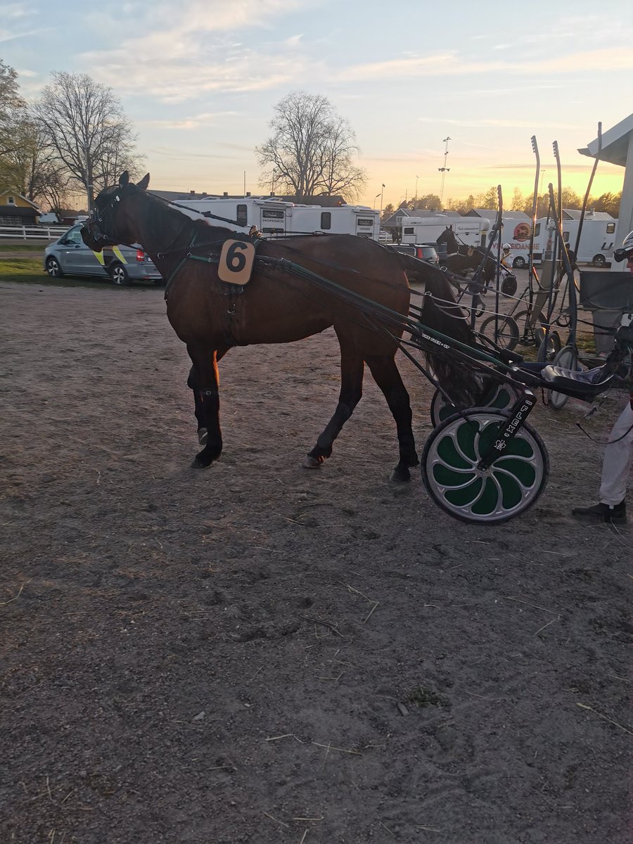 Underbart att vara hästägare ♥️🐴 Väldigt bra prestation av Catalaia så här i efterhand.
Det blir spännande att följa 🐴💪

Snyggt jobbat <a href="/OskarSvanberg/">Oskar Svanberg</a> och hela teamet 🙂👊