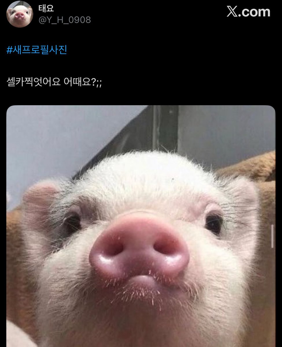 태요 tweet media