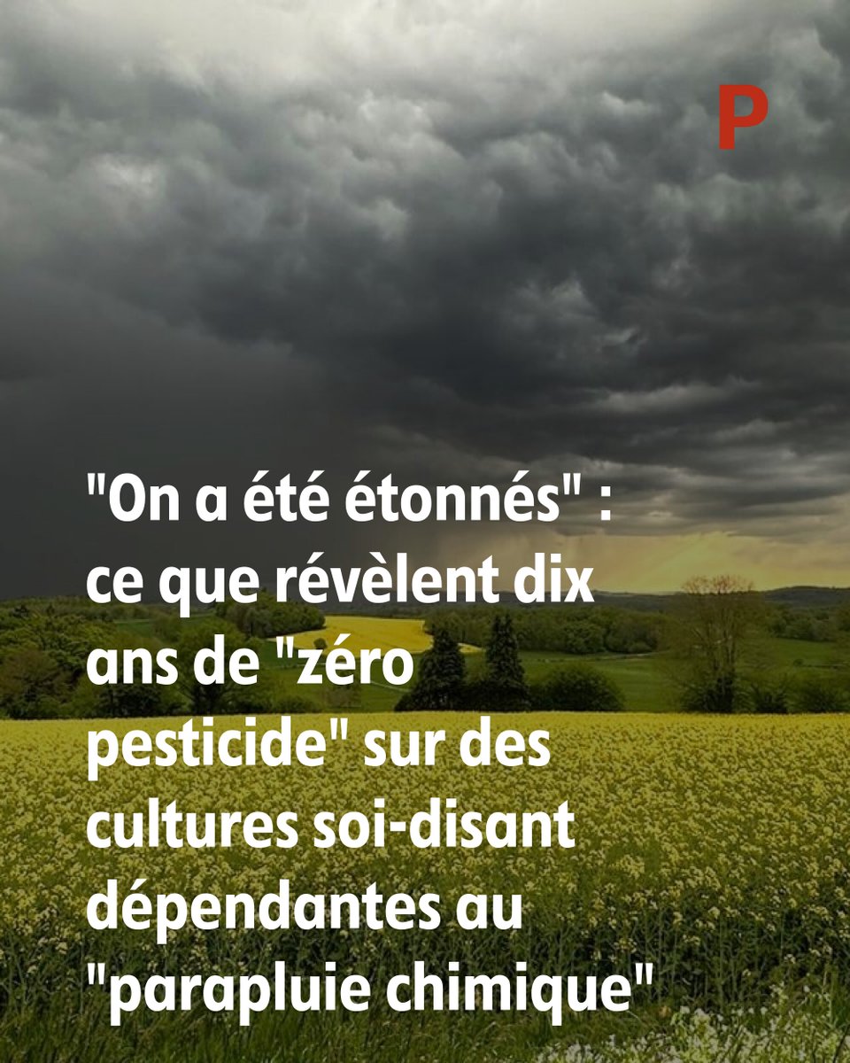 Populaire du Centre tweet media