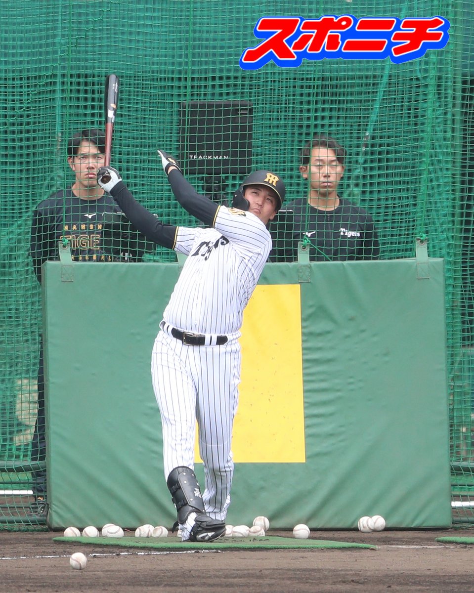 スポニチTIGERSフォト tweet media