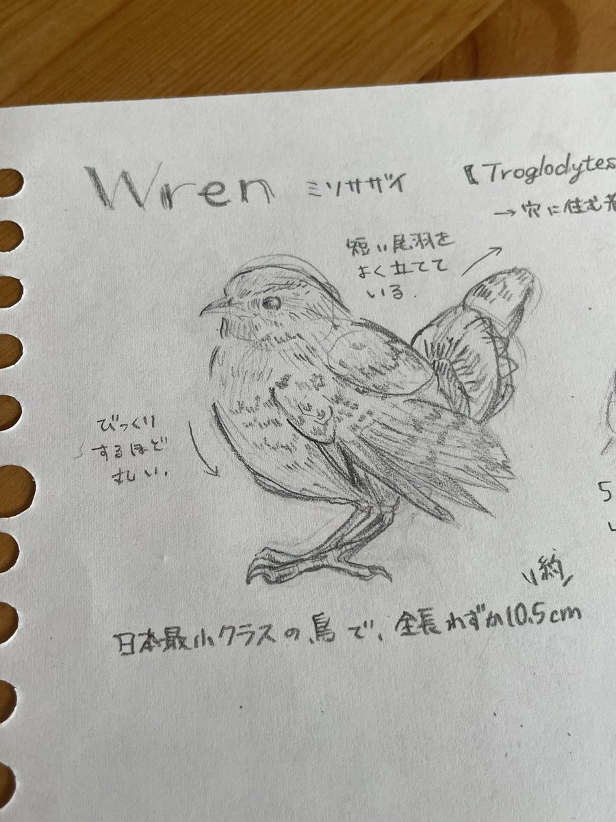 とりつじ tweet media