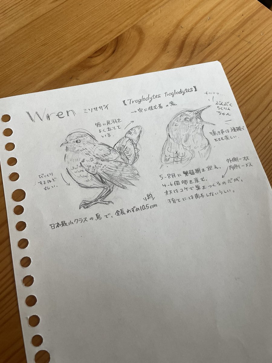 とりつじ tweet media