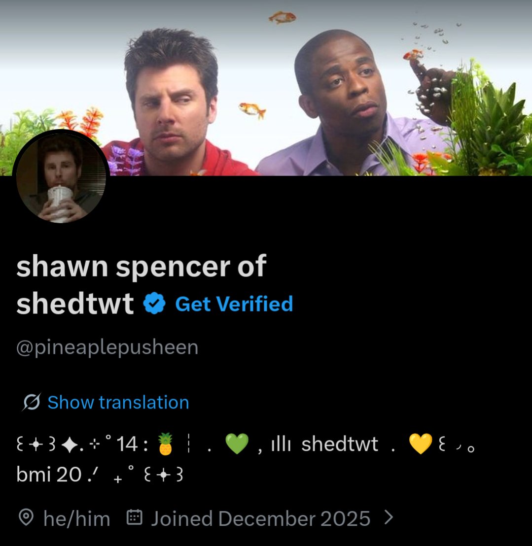 shawn spencer of shedtwt tweet media