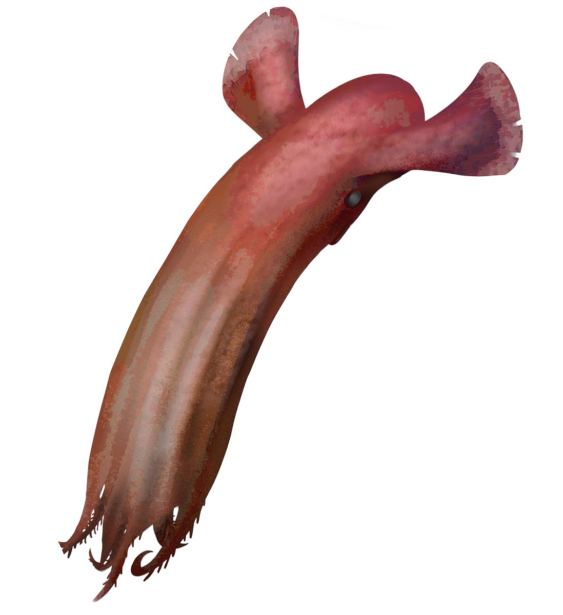 Lcoa (Quetzalcoatlus) tweet media