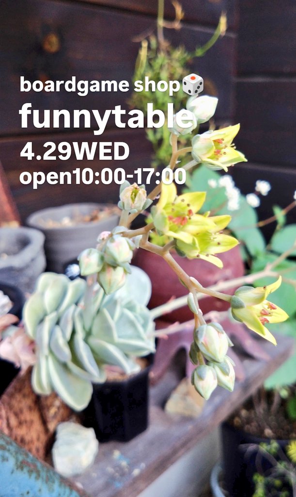 ファニーテーブル(ボードゲーム専門店)/funnytable tweet media