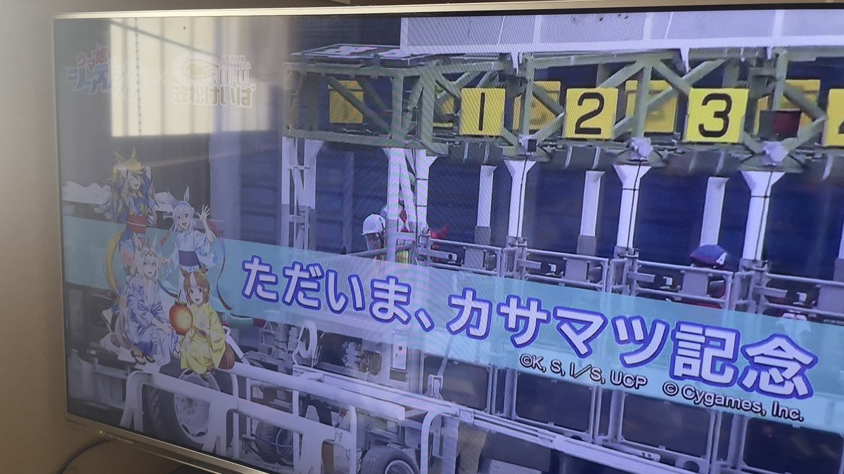 YouTubeのライブで笠松のレース見てる