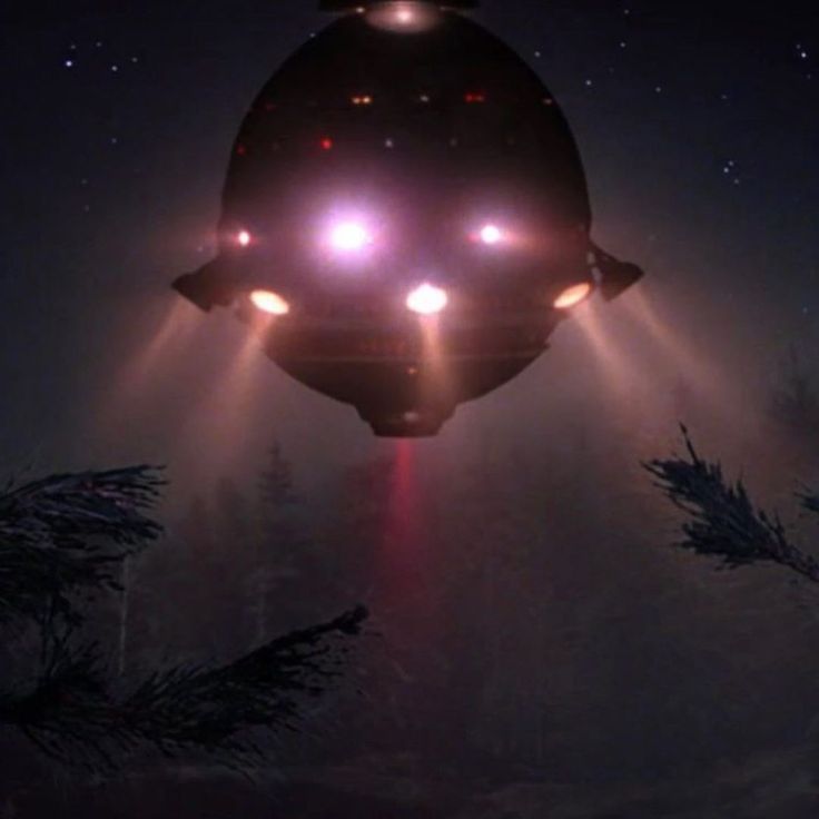 Tʜᴇ Bʀᴏᴏᴅ Fʀᴏᴍ Bᴇʏᴏɴᴅ! tweet media