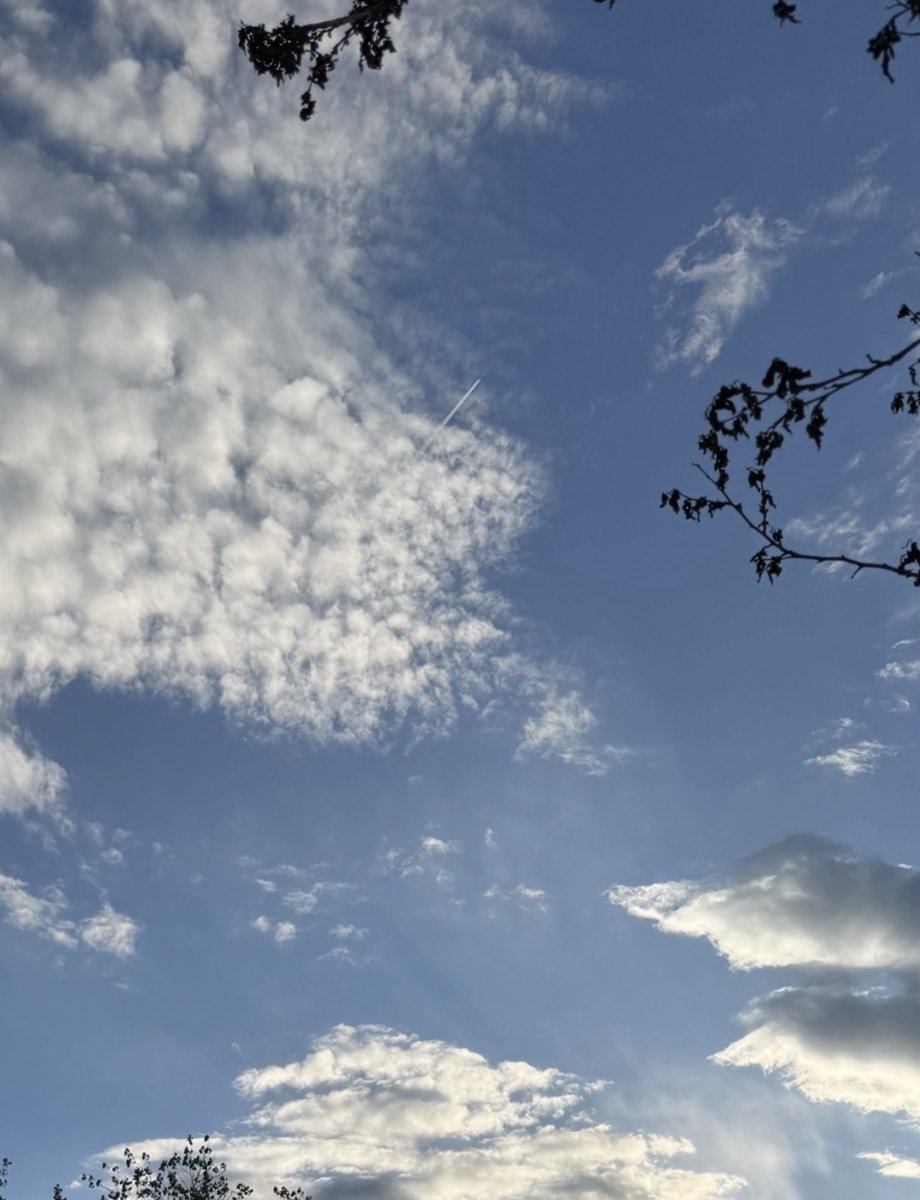 jonimarielew's tweet image. #clouds #Nevada #desert #skies