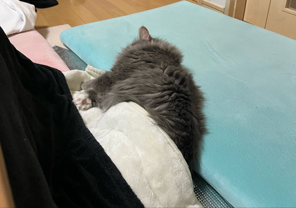 eguo tweet media