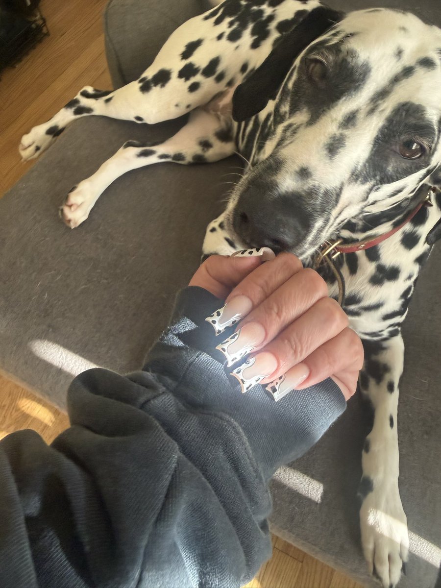 I had to get matching nails to match my baby Whistler 🤍🖤 yes I’m THAT mom!