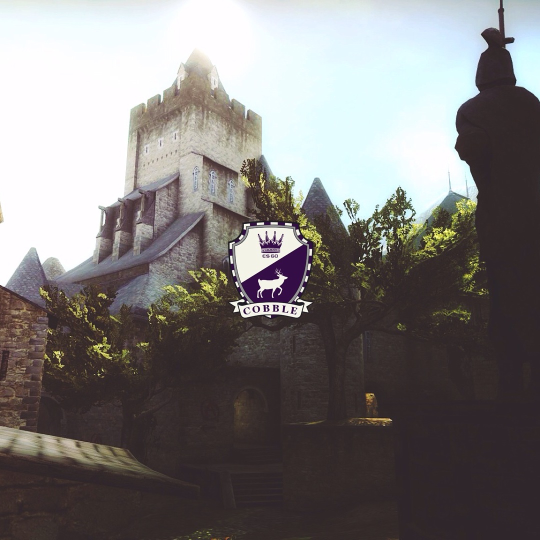 Is Cobblestone Out? tweet media