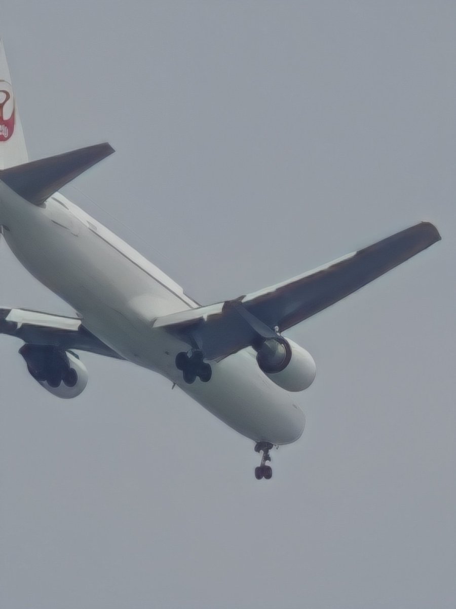 かぷめん(深夜＆昼in勢)🍜コミケの売り子めんฅʕ•̫͡•ʔฅ tweet media