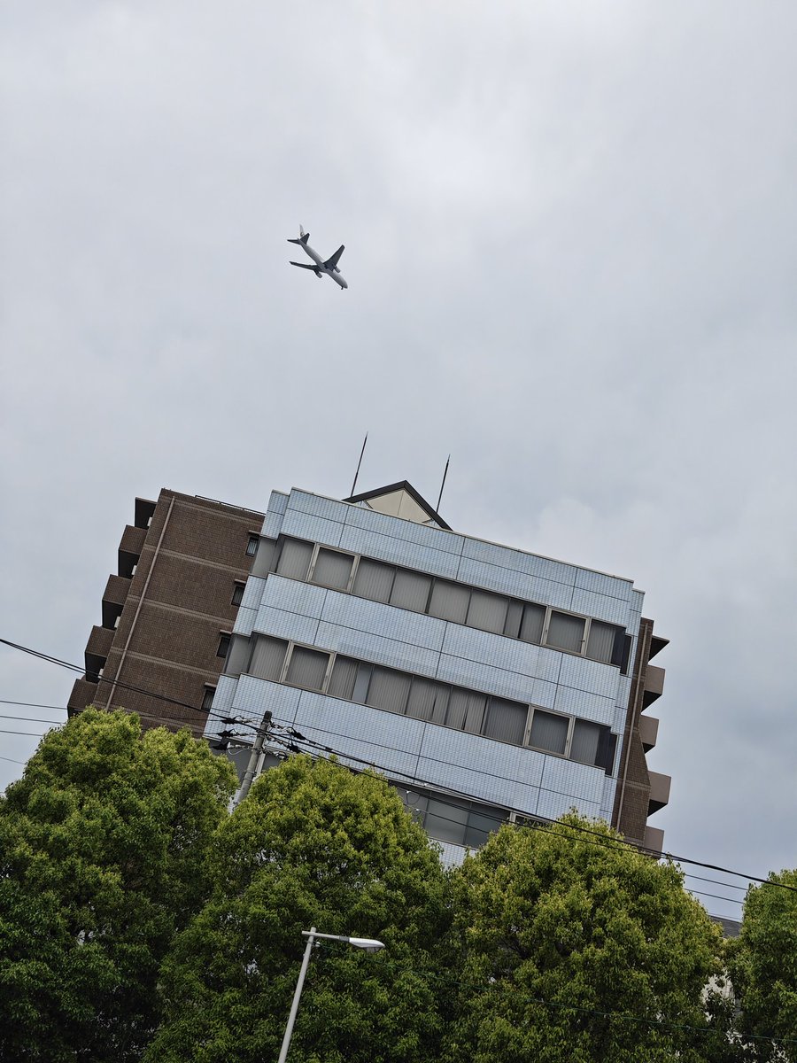 かぷめん(深夜＆昼in勢)🍜コミケの売り子めんฅʕ•̫͡•ʔฅ tweet media