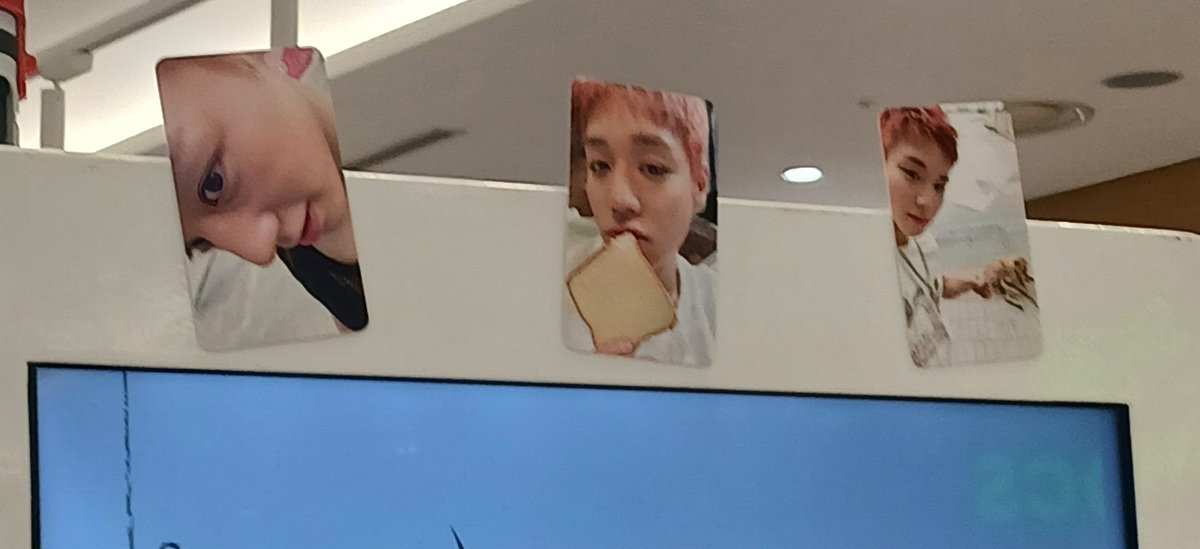 감자메이 tweet media