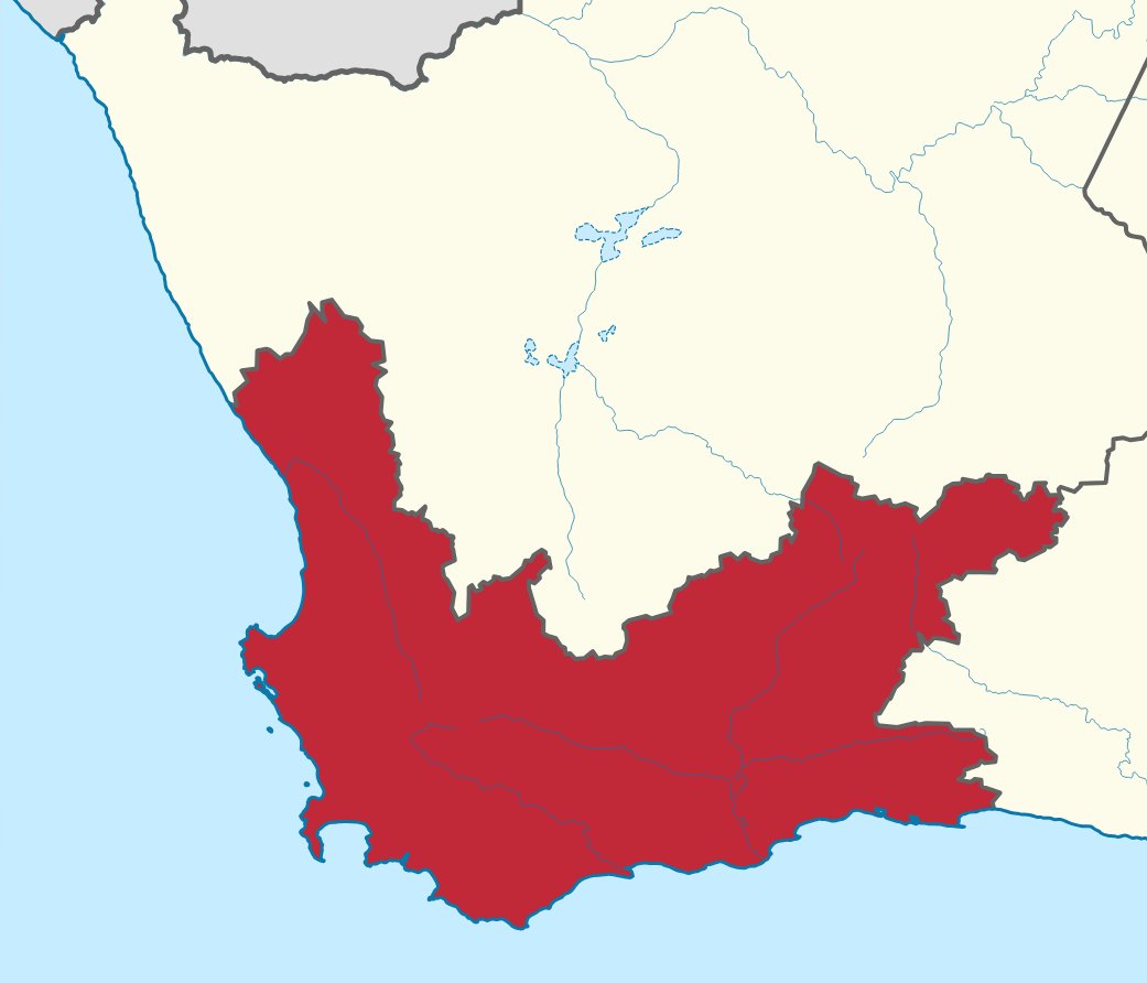 Cape International tweet media