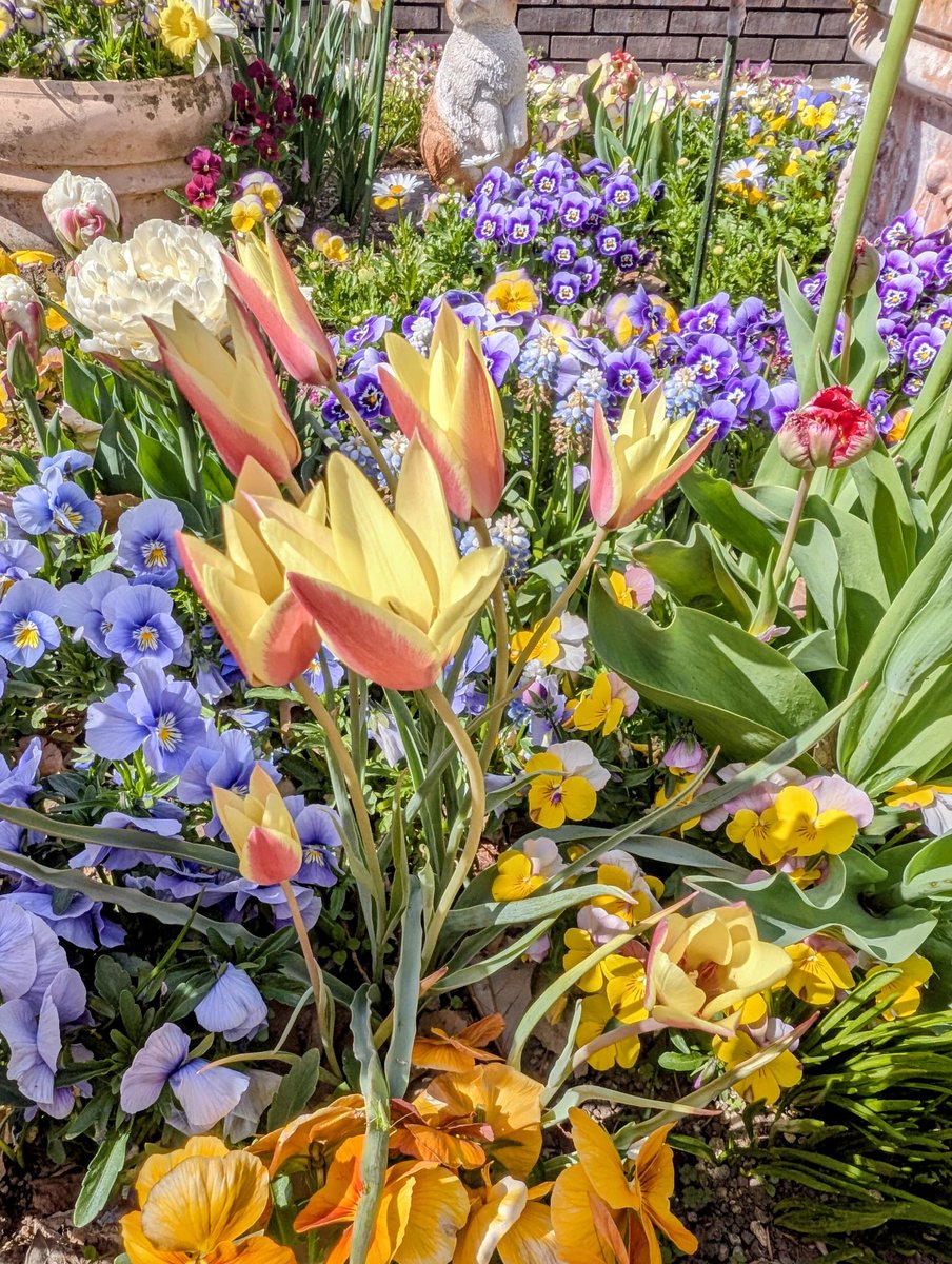 tea 𓂃 ⋆͛*͛ 𓇨𓍌 tweet media