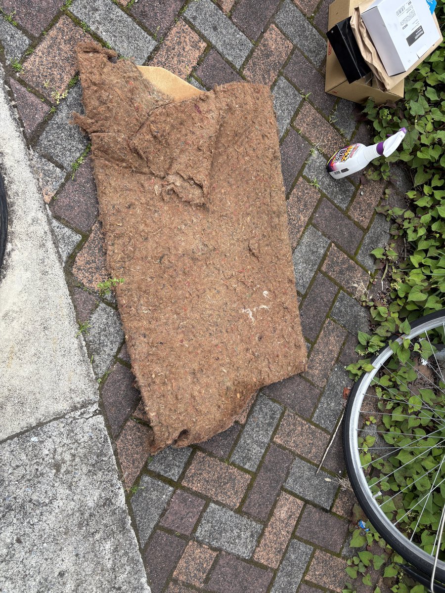 🎀ぺこ🎀 tweet media