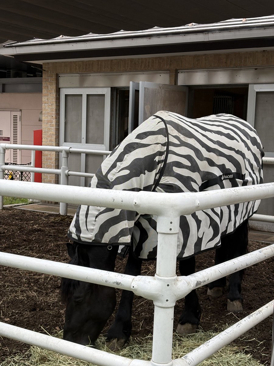 ᏣꭵᎯꮳꭴ ໒꒱·ﾟ tweet media