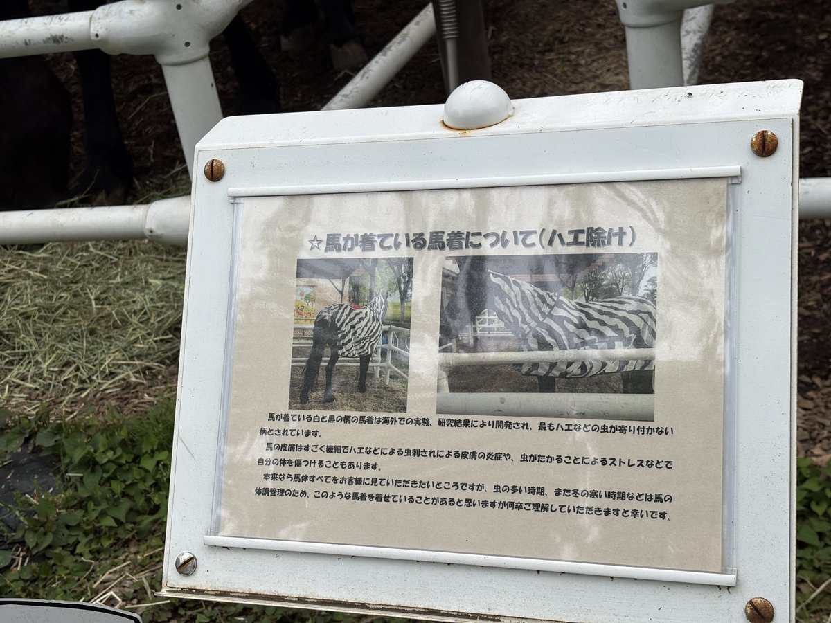 ᏣꭵᎯꮳꭴ ໒꒱·ﾟ tweet media