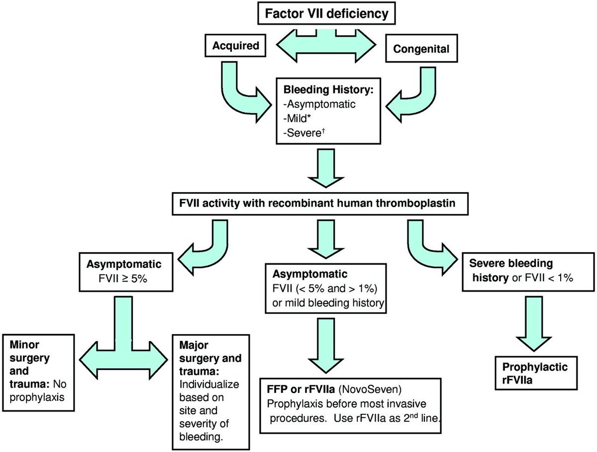 StudyXing Medicine tweet media