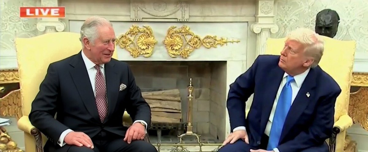 ALX 🇺🇸 tweet media