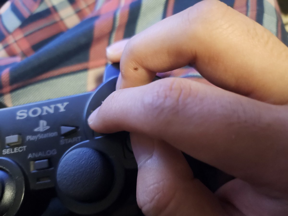 기사단원 1 tweet media