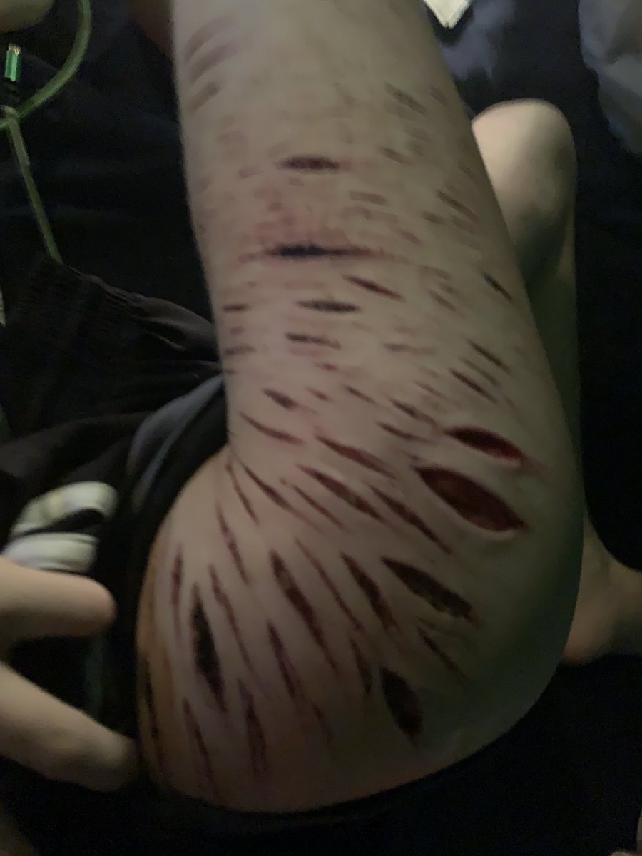 shedtwt’s biggest jerk tweet media