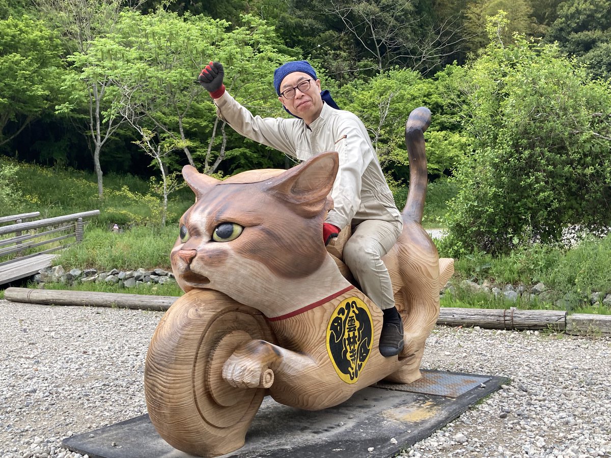 雲林寺（ネコ寺）【公式】 tweet media