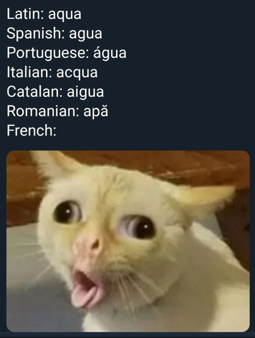 Rincón Curioso tweet media