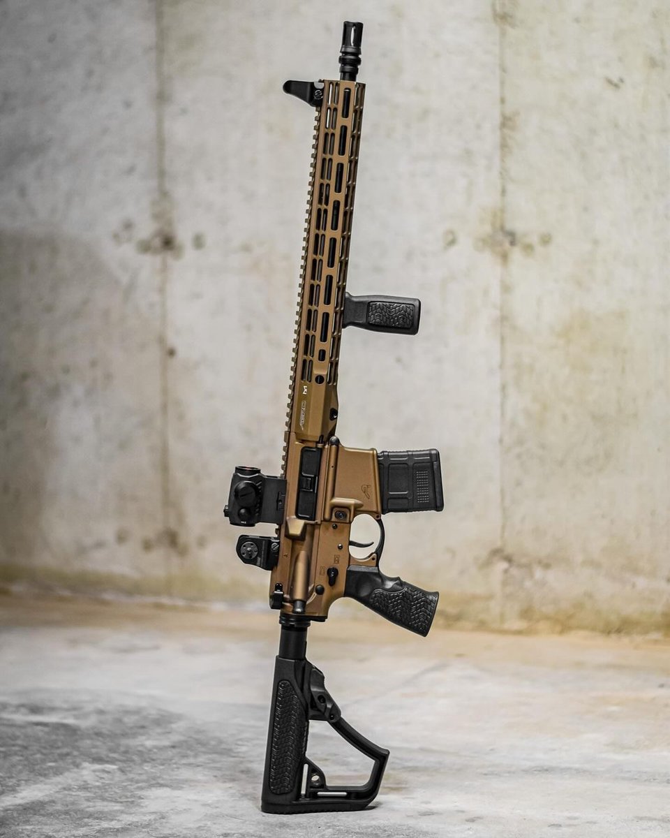 Rise Armament tweet media