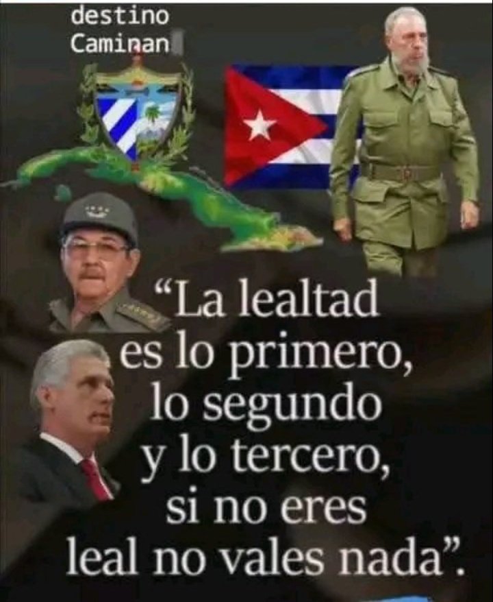 Policarpocastro tweet media