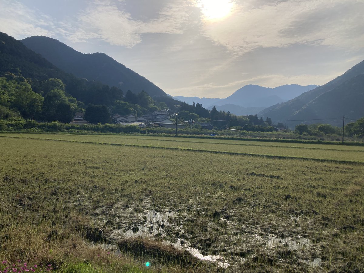 ﾀｶﾞﾐﾀﾛｰ｡ tweet media