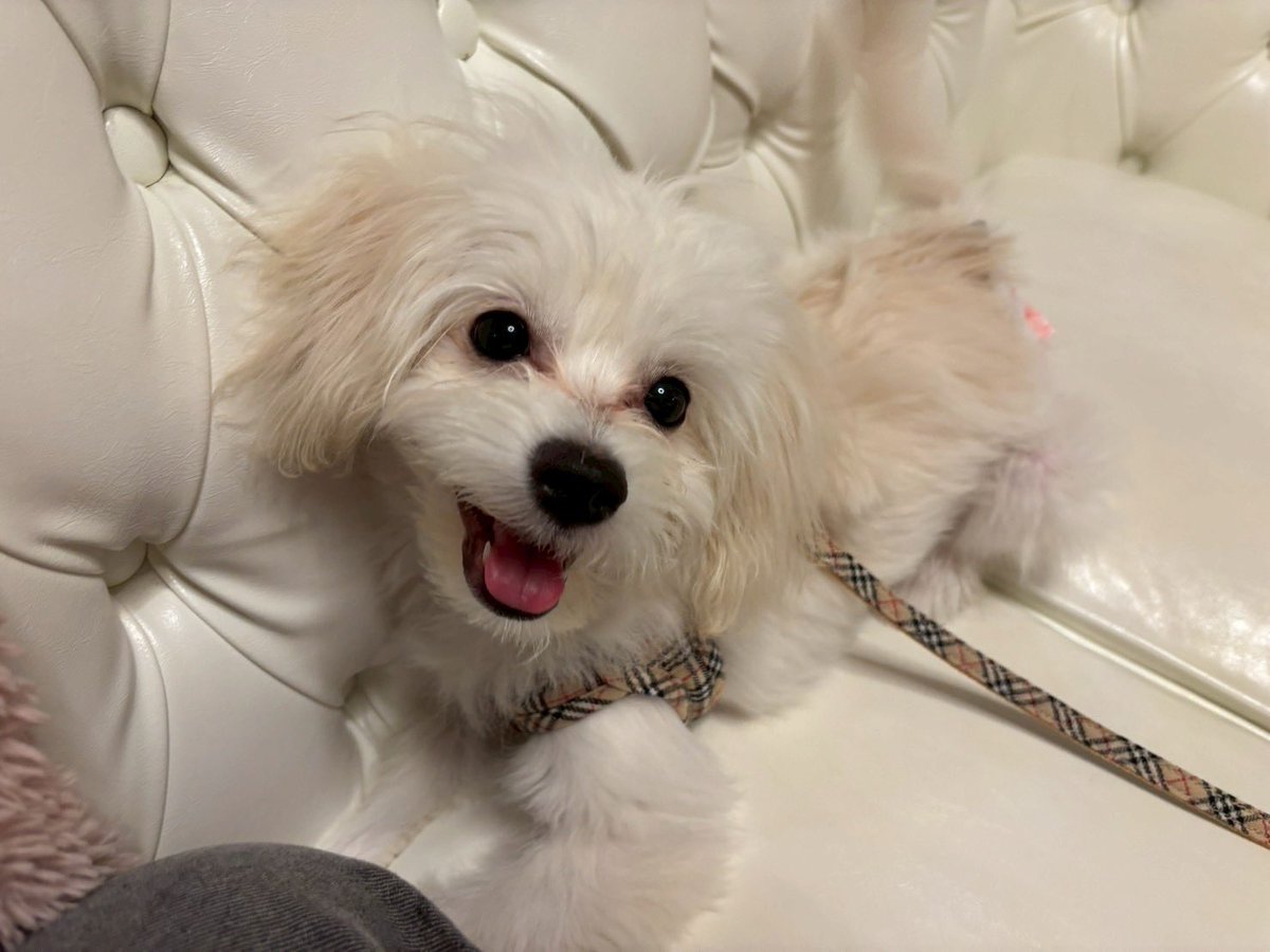 BamBooPapi's tweet photo. 楽しいな〜嬉しいなぁ〜💕 https://t.co/wuFWvWQ6eo