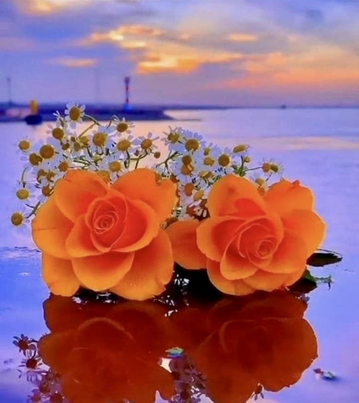 🌺🍃🌷Susy🌷🍃🌺 (@nsusanagh0308) on Twitter photo 
