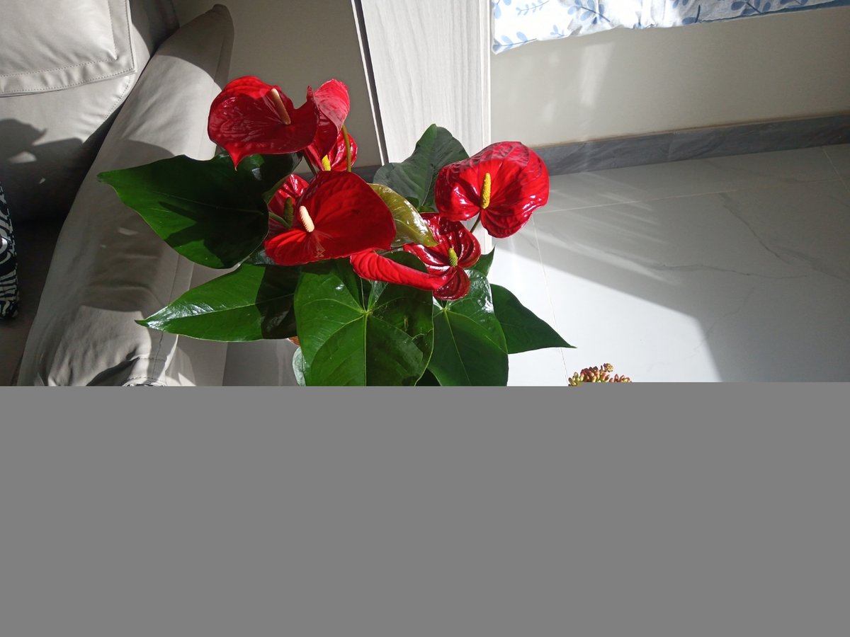 abhijitamway's tweet image. Chasing the sun, sipping iced drinks, and letting the day unfold slowly.  #LeisureVibes #SlowLiving