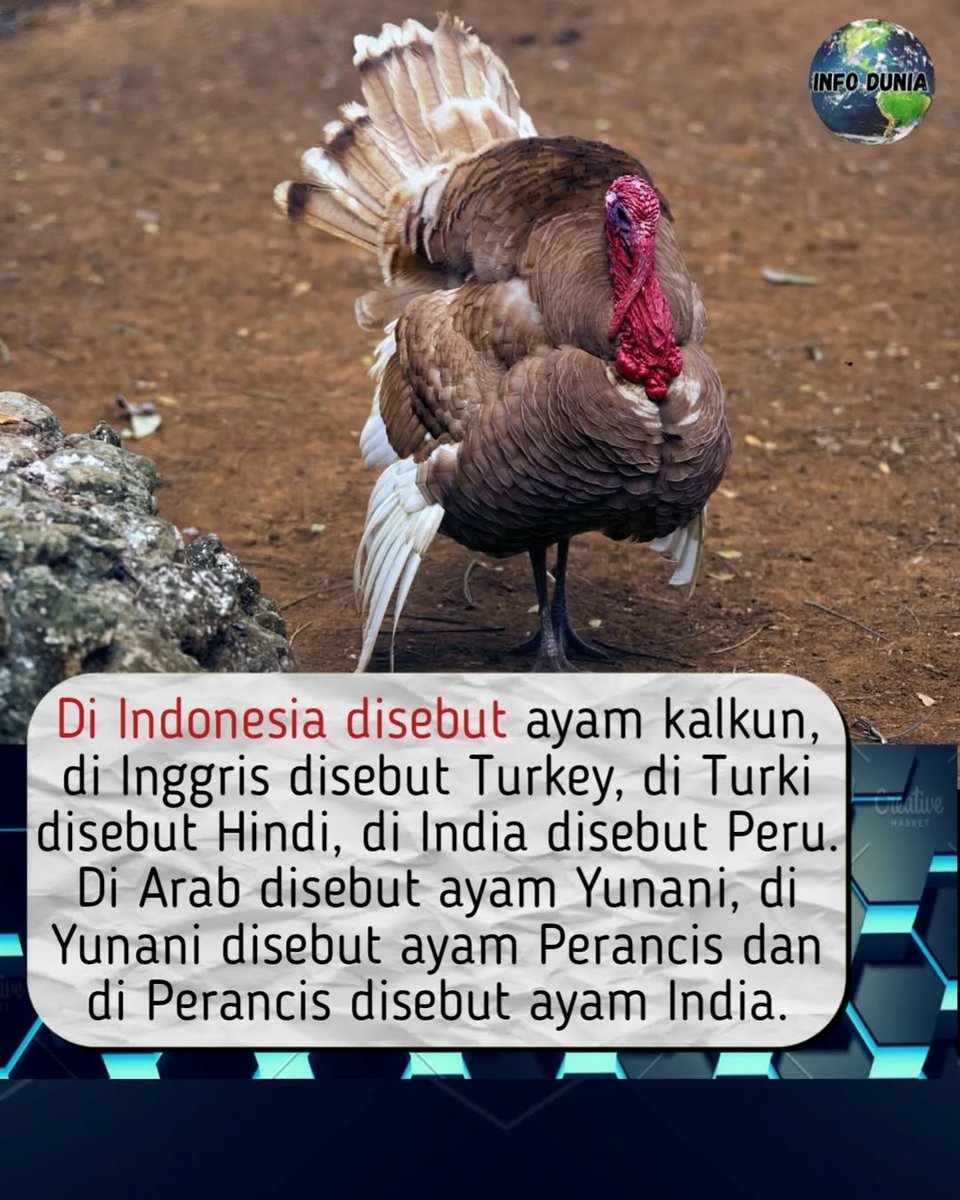 Denni Sauya tweet media