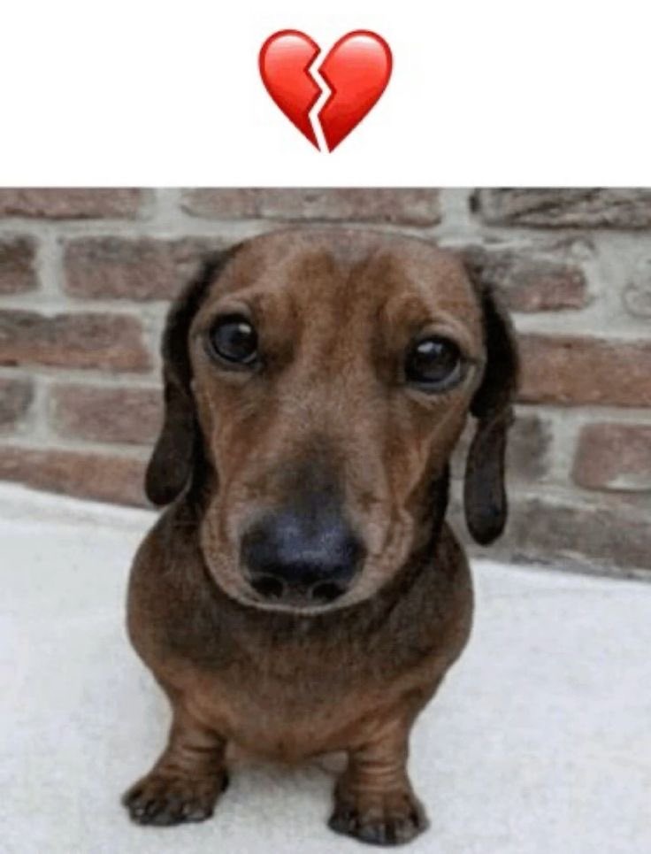 lele ⁷ VAI VER O BTS tweet media