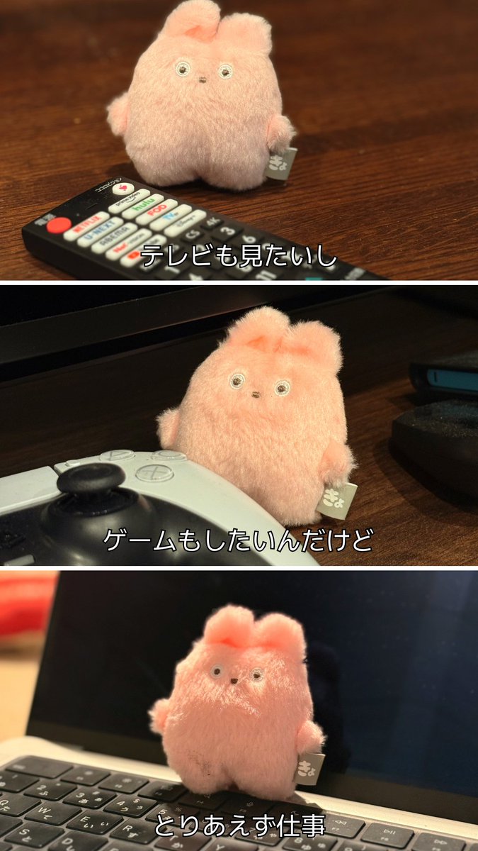 きょむたん tweet media