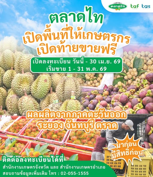 ตลาดไทร่วมสนับสนุนเกษตรกรที่มีผลผลิตคุณภาพดี และปริมาณสำหรับการค้าส่ง โดยเปิดพื้นที่ให้เกษตรกรเปิดท้ายขายฟรี ไม่มีค่าใช้จ่าย 🌳ทุเรียน | เงาะ | มังคุด | ลองกอง | มะม่วง | สับปะรด
จากจังหวัด ระยอง /จันทบุรี / ตราด
📘รับลงทะเบียน: วันนี้ – 30 เม.ย. 69
เริ่มขายจริง: 1 – 31 พ.ค. 69