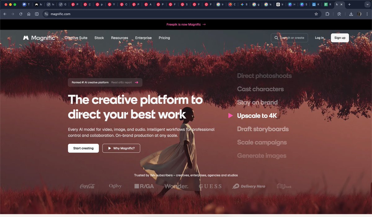 PixatudeGraphix's tweet photo. @magnific Whats going on? I just refreshed the tab, and this was what I saw 😕 https://t.co/6P968yb3C9