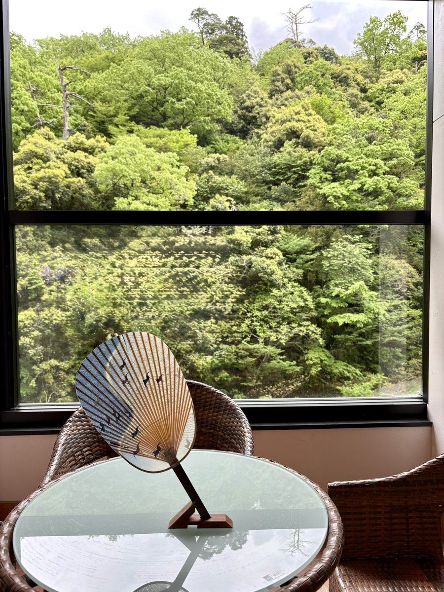 アイアン奥さん tweet media