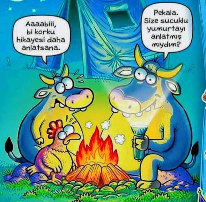 Gece bey tweet media