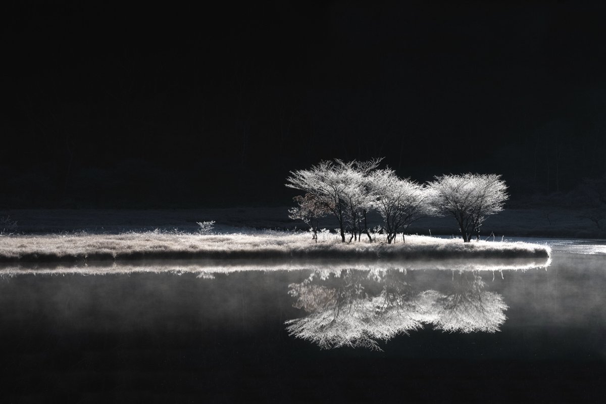 A.NAGASE@photo.3着は流す tweet media