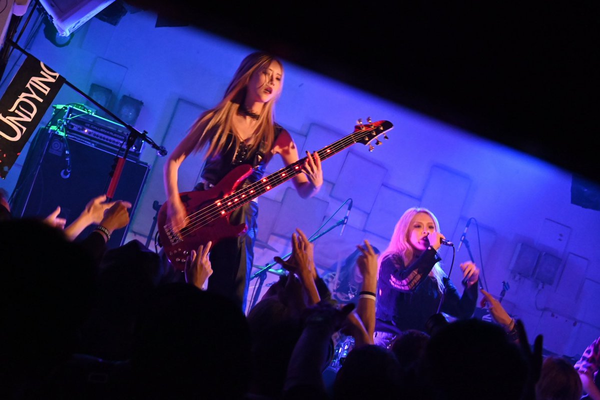 彪 / AYA tweet media