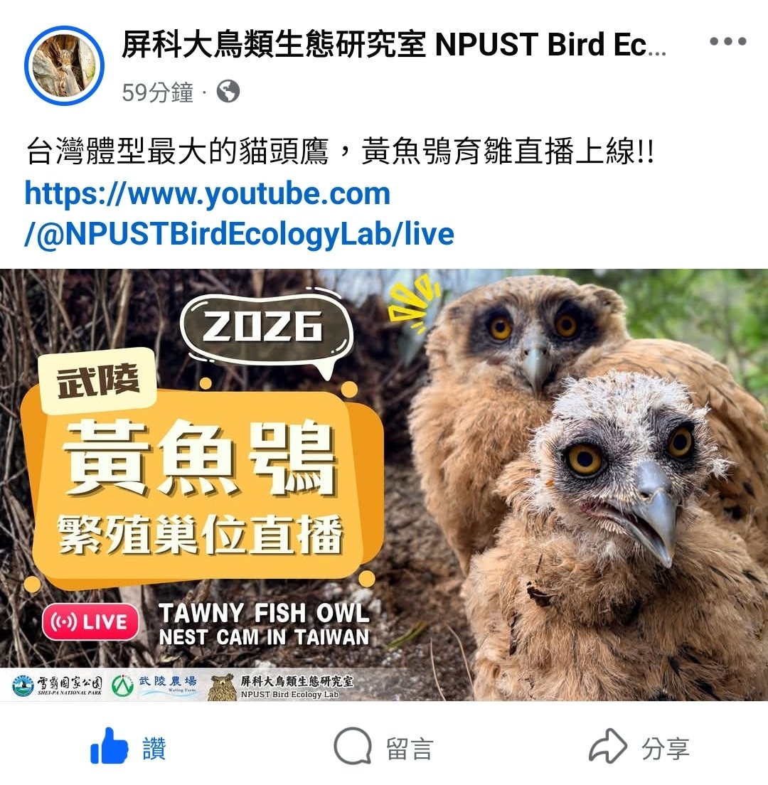 各位，當保全啦！